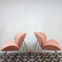 Velvet lounge chairs shell chair fauteuil 'Pink ladies'