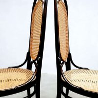 Eetkamerstoelen dining chairs set of 6 vintage design Model 207R Thonet