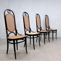 Dining chairs eetkamerstoelen Thonet model 207R set vintage