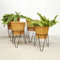 Dutch design midcentury rattan wicker plant stands planter plantenstandaard
