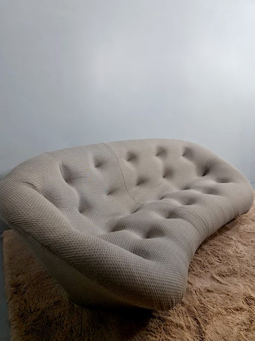 Modern design Ligne Roset Ploum sofa R&E Bourellec