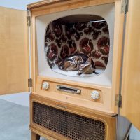 Vintage television TV cat house cabinet