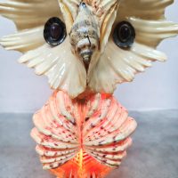 Vintage nature owl seashell lamp 'Vitamin Sea'