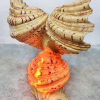 Vintage nature owl seashell lamp 'Vitamin Sea'