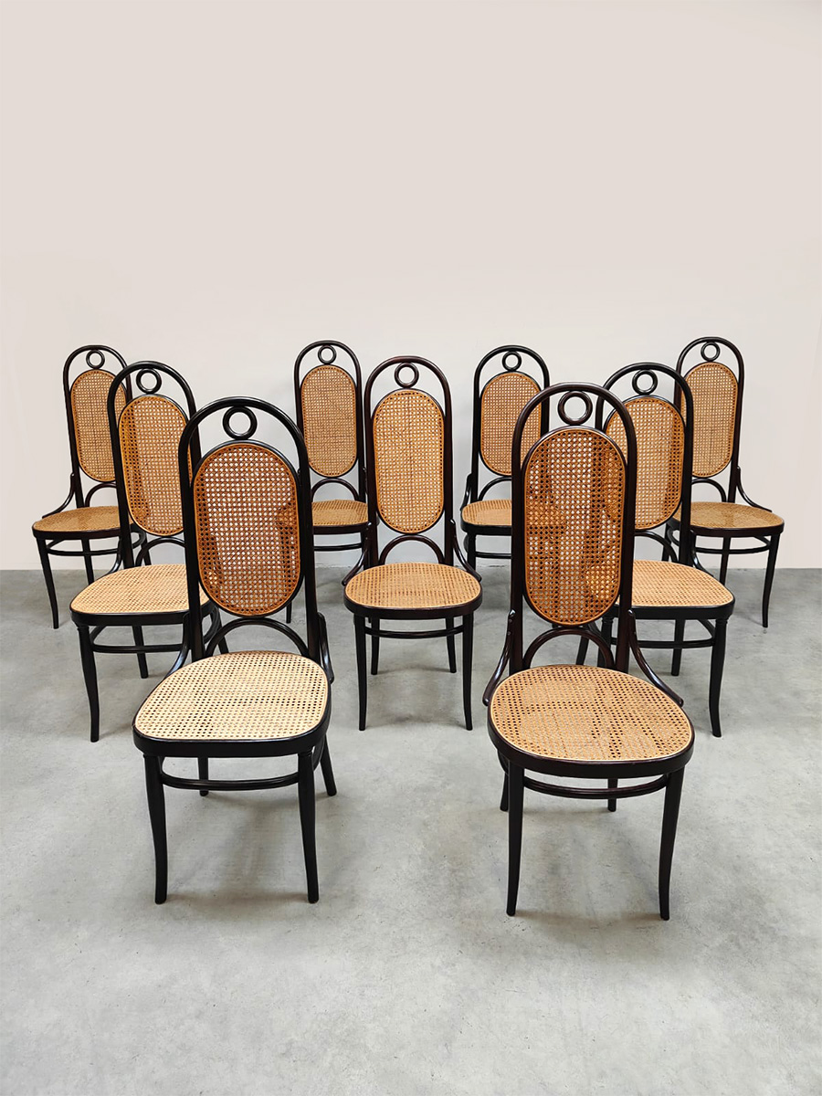 Vintage interior dining chairs eetkamerstoelen Thonet 1970's